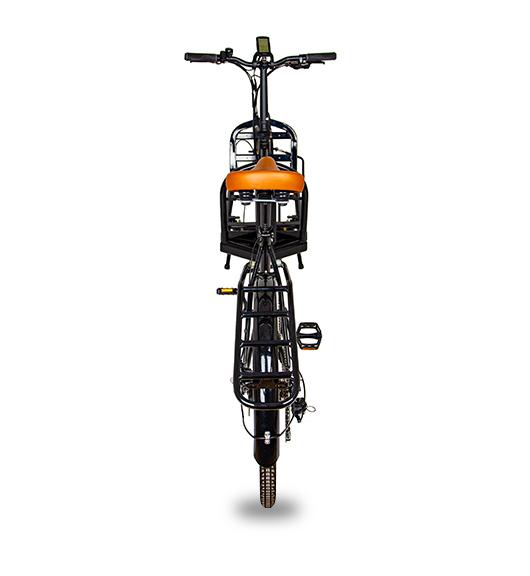 Powerlane Carico E-Lastenrad schwarz Heckansicht