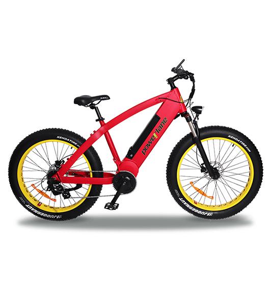 Powerlane Element E-Mountainbike rot Seitenansicht